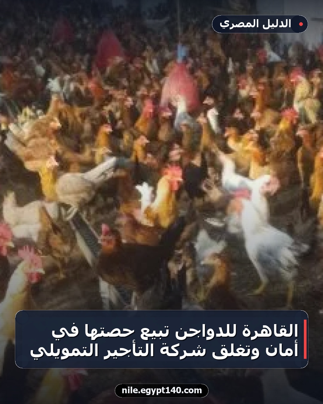 القاهرة للدواجن تبيع حصتها في أمان وتغلق شركة التأجير التمويلي