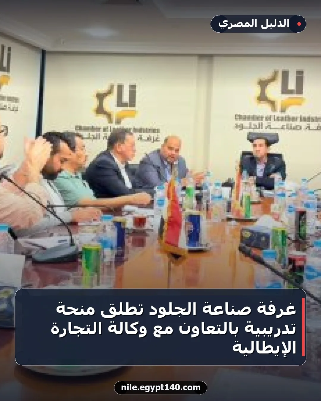 غرفة صناعة الجلود تطلق منحة تدريبية بالتعاون مع وكالة التجارة الإيطالية