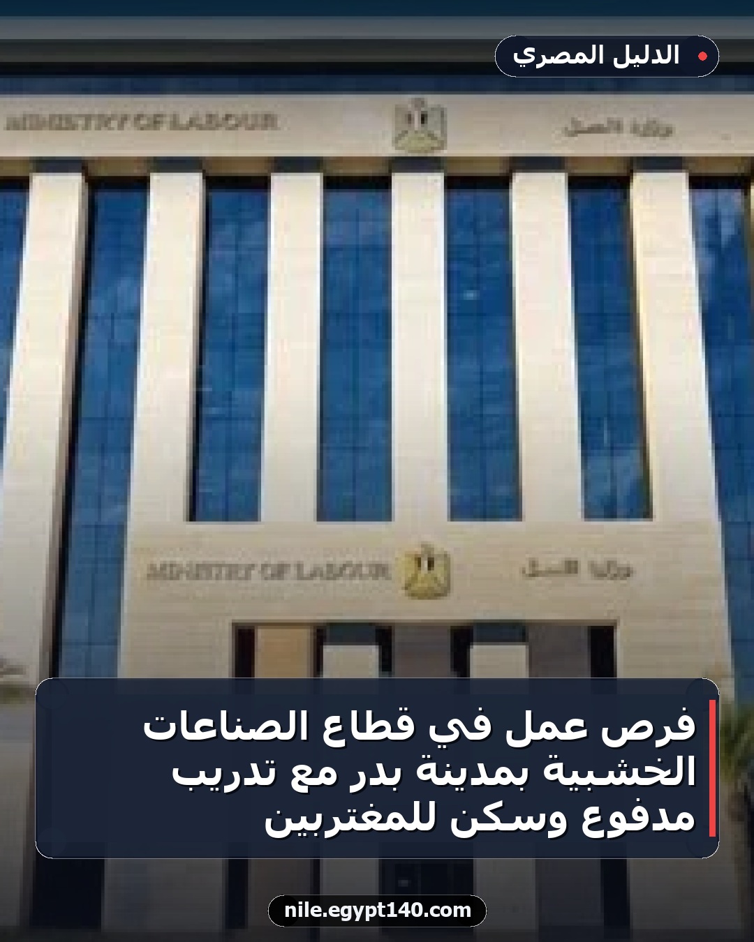 فرص عمل في قطاع الصناعات الخشبية بمدينة بدر مع تدريب مدفوع وسكن للمغتربين