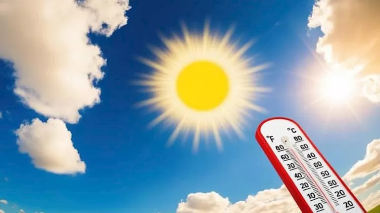 الأرصاد الجوية تكشف عن أبرز الظواهر الجوية المتوقعة اليوم.. شبورة ورياح وأمطار