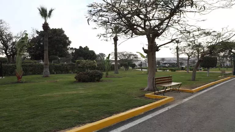 القاهرة تكشف عن خطة مكثفة للنظافة خلال العيد مع تعليق الإجازات وزيادة العمالة