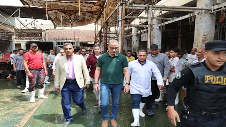استعداد 23 مجزرًا في الجيزة لاستقبال الأضاحي مع جولة تفقدية للمحافظ في “المنيب” و”الوراق”