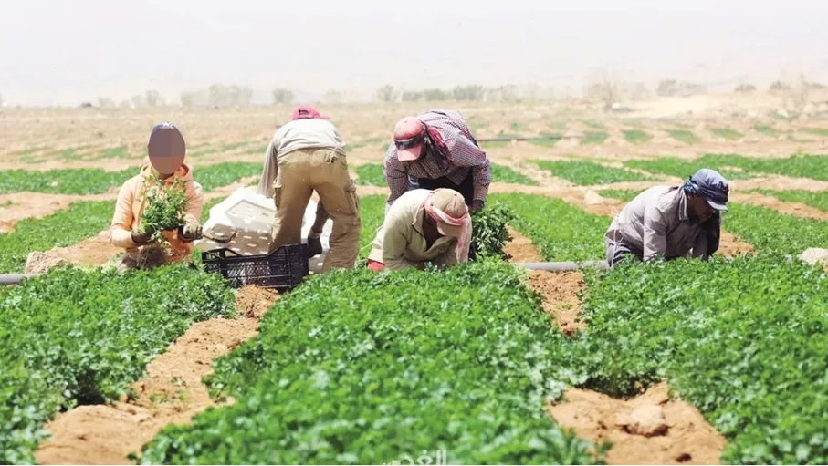 الزراعة العضوية والمحمية ودورها في تحقيق أمن غذائي مستدام
