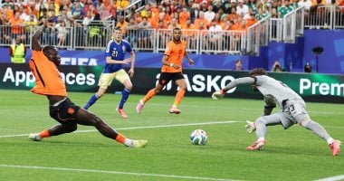 هولندا تتقدم على السويد بهدفين في الشوط الأول بكأس العالم