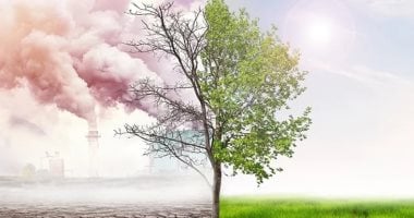 تقرير يكشف عن الاعتداءات على التغطية البيئية في يوم البيئة العالمي