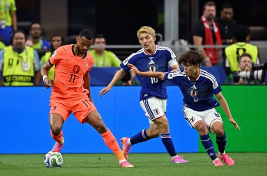 اليابان وهولندا فى كأس العالم الشوط الأول اليابان وهولندا فى كأس العالم الشوط الأول