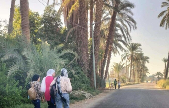 أهالي الهجان بقنا يستغيثون لإنهاء أزمة المواصلات وإنارة الطريق الرئيسي أهالي الهجان بقنا يستغيثون لإنهاء أزمة المواصلات وإنارة الطريق الرئيسي