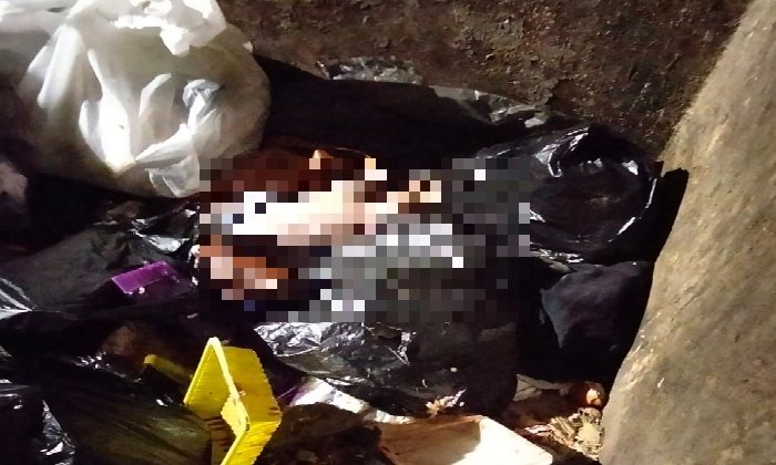 العثور على رضيع متوفى داخل صندوق قمامة بمدينة العاشر من رمضان العثور على رضيع متوفى داخل صندوق قمامة بمدينة العاشر من رمضان