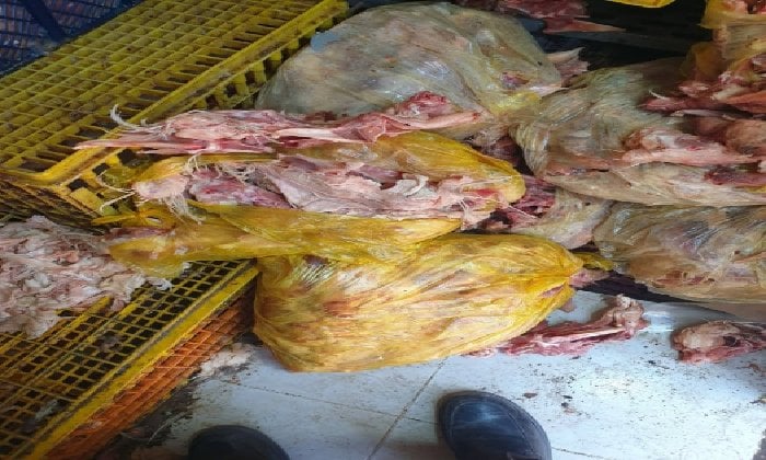 «بيطري الشرقية» يضبط 4 أطنان لحوم وأسماك غير صالحة للاستهلاك الآدمي «بيطري الشرقية» يضبط 4 أطنان لحوم وأسماك غير صالحة للاستهلاك الآدمي