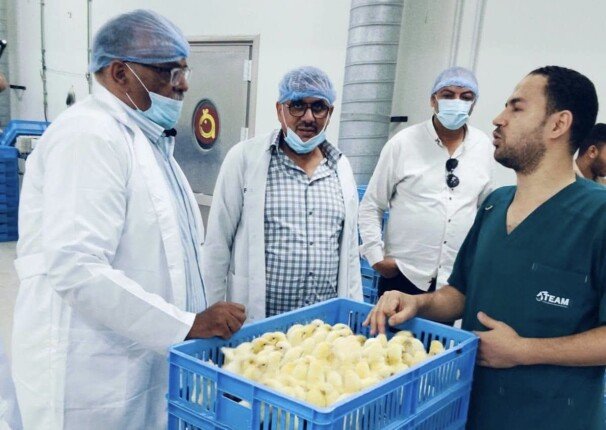مدير زراعة المنوفية يتفقد مشروعات الإنتاج الحيواني والداجني والأعلاف بمدينة السادات مدير زراعة المنوفية يتفقد مشروعات الإنتاج الحيواني والداجني والأعلاف بمدينة السادات