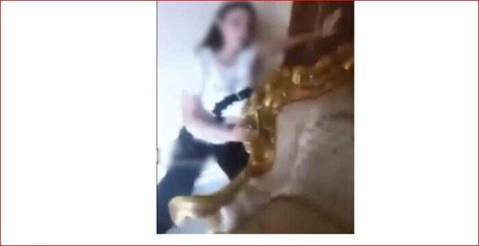 فيديو مأساوي.. الداخلية تكشف كواليس التهجم على شقة فتاة ووالدها في الجيزة