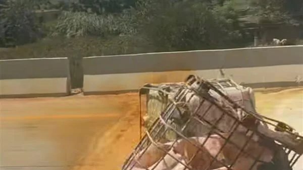 رفع آثار انقلاب سيارة محملة بالنترات على الطريق الإقليمي بالمنوفية