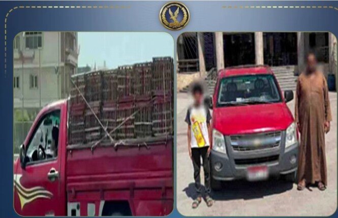 بعد تداول الفيديو.. ضبط طالب ووالده لقيادة طفل سيارة نقل بالغربية بعد تداول الفيديو.. ضبط طالب ووالده لقيادة طفل سيارة نقل بالغربية