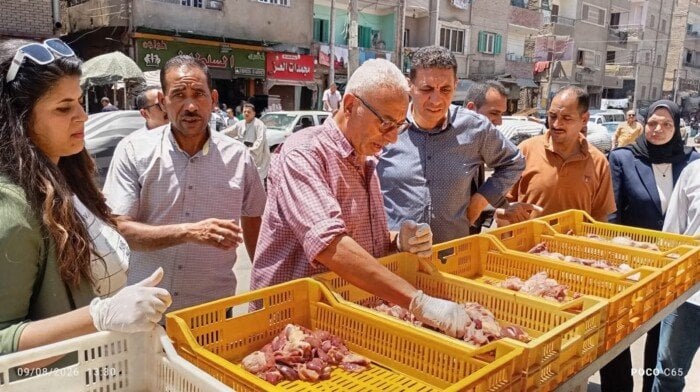 «ذبح خارج السلخانة وشهادات صحية مزورة».. ضبط لحوم مجهولة المصدر خلال حملة بالمنيا «ذبح خارج السلخانة وشهادات صحية مزورة».. ضبط لحوم مجهولة المصدر خلال حملة بالمنيا