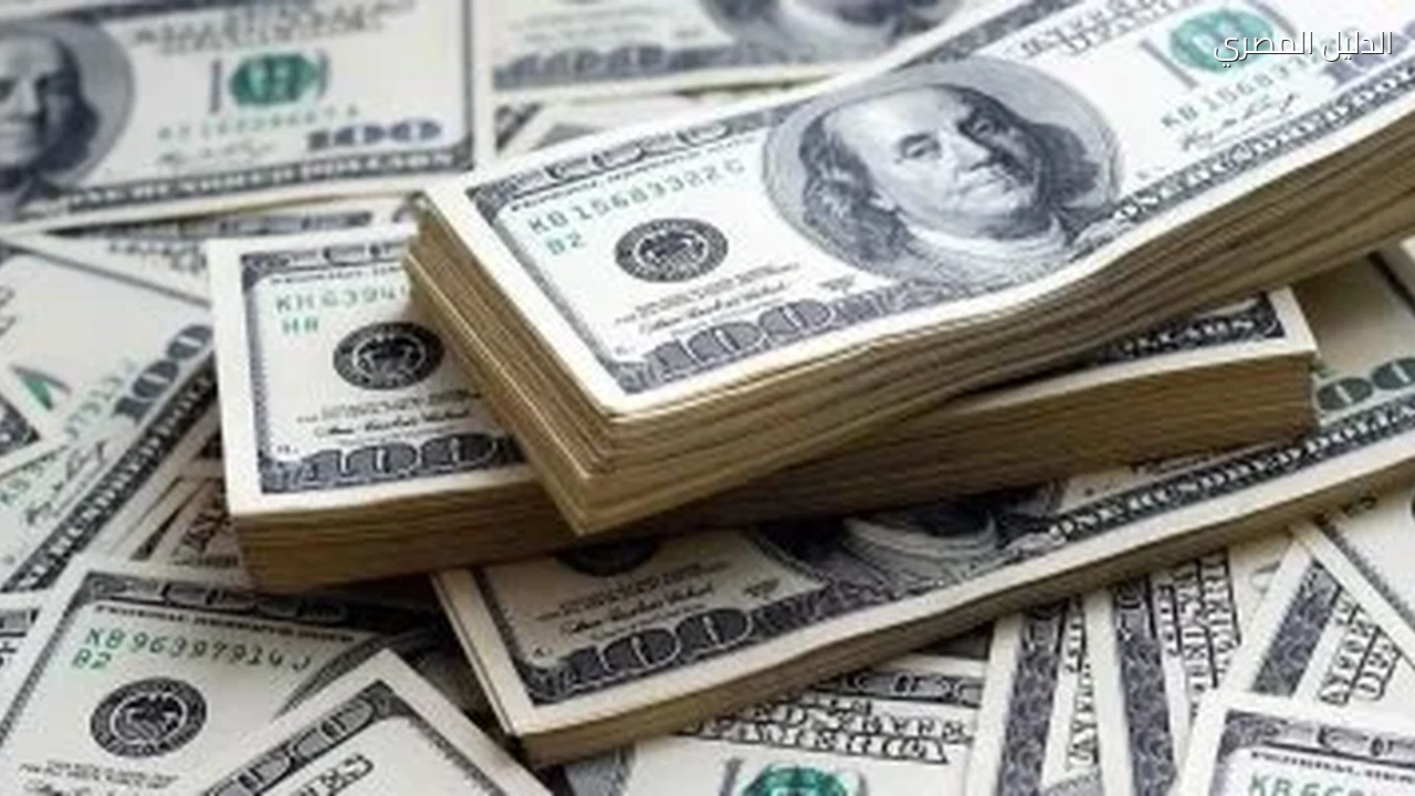 أين استقر سعر الدولار مقابل الجنيه قبل ساعات من تشغيل الشاشات