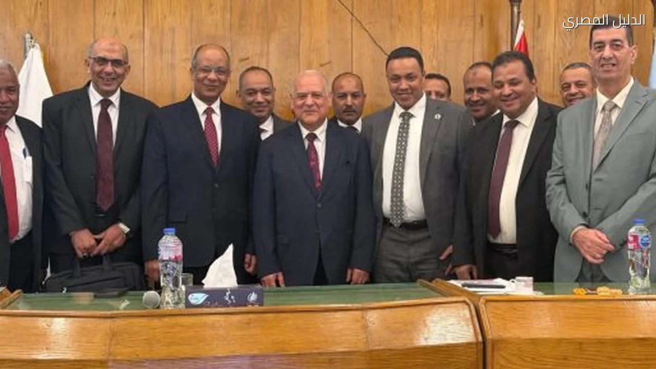 المصرية للسبائك الحديدية تحقق 600 مليون جنيه أرباح عام 2025-2026