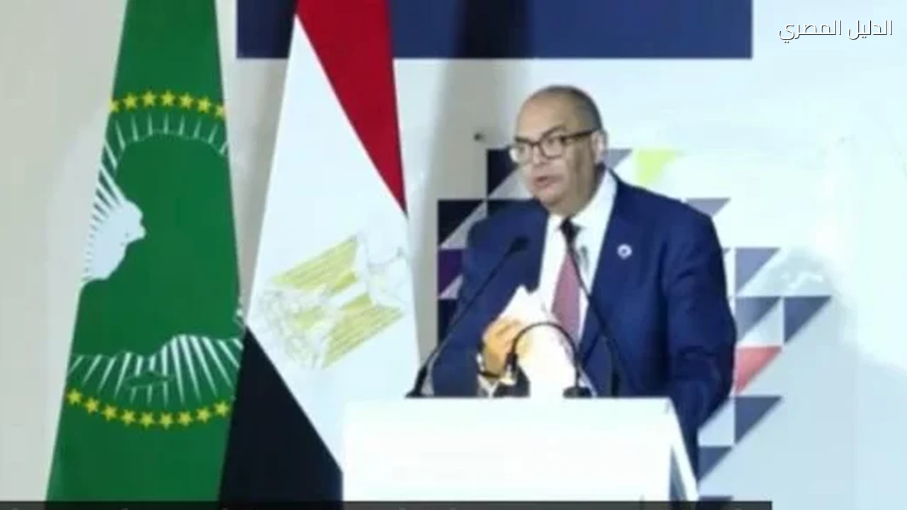 محيى الدين: أفريقيا تمتلك فرصا هائلة للنمو